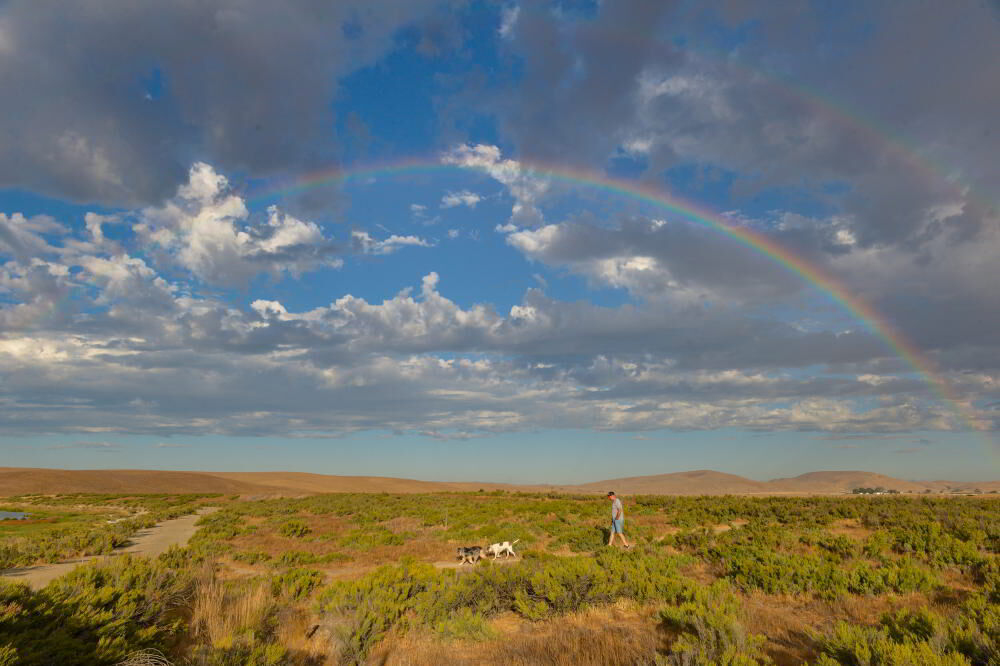 A Rainbow Overhead